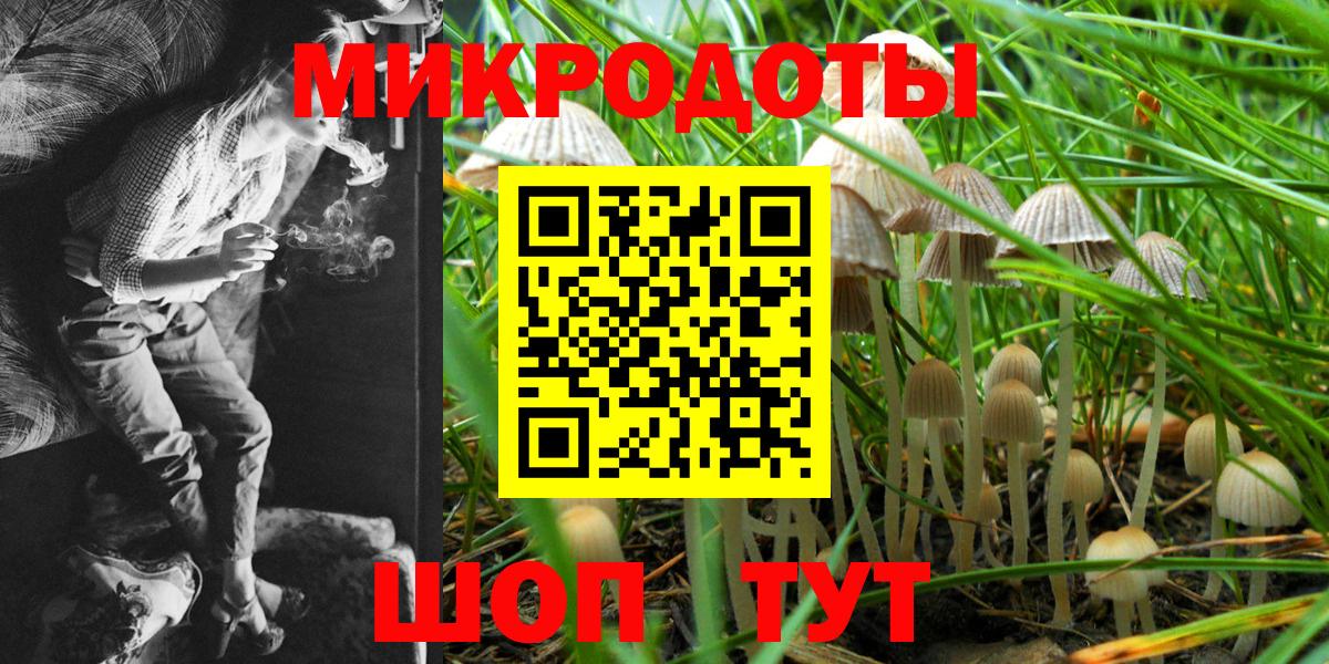 Псилоцибиновые грибы MAGIC MUSHROOMS Сызрань