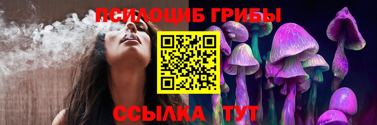Сызрань  Галлюциногенные грибы Cubensis  Вход с VPN  Псилоцибиновые грибы Psilocybine cubensis 